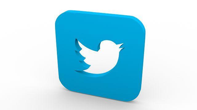Study Finds Twitter Influences Legislative Strategy 