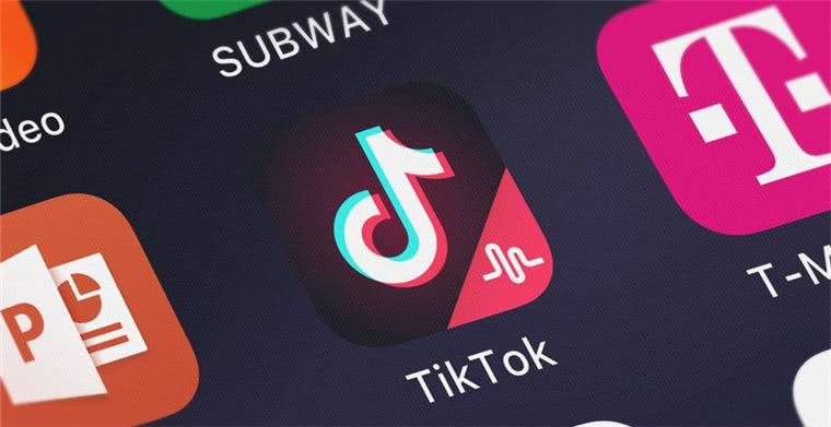 TikTok Launches “TikTok Herpetology” for Reptile Lovers